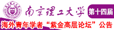 操洋妞视频南京理工大学第十四届海外青年学者紫金论坛诚邀海内外英才！